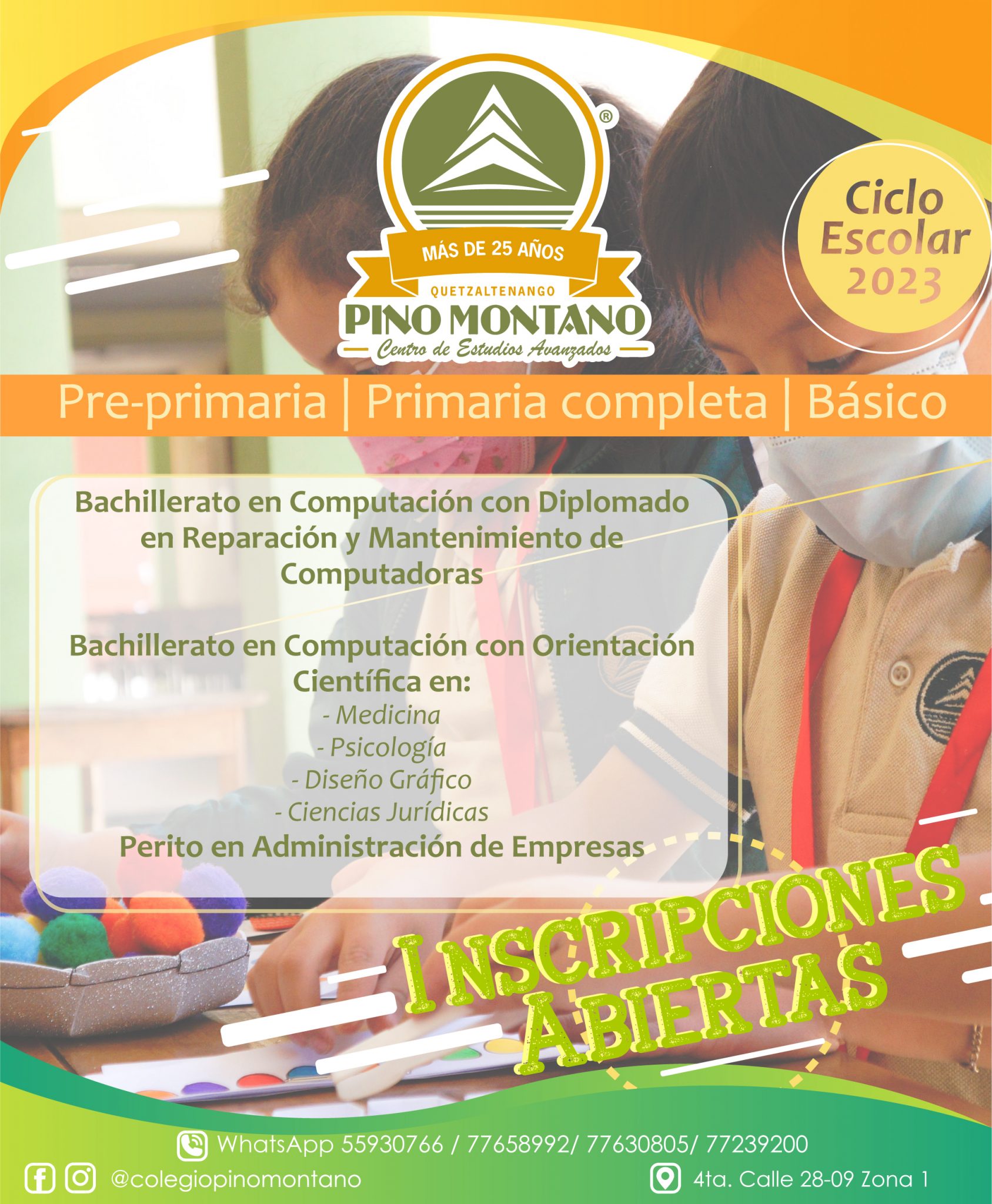 Colegio Pino Montano 9771